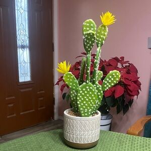Green Cactus with Yellow Flowers in Decorative Pot